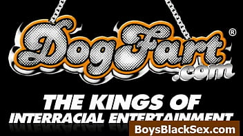 hd Blacks On Boys - Interracial Porn Gay Videos - 20 hd hd blacks on boys interracial porn gay videos 20 best
