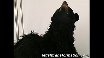 hd n glamorous babe with bear fur best