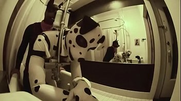 hd 麻豆 dirty pups in the hotel room best