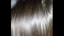 hd porno xr21 best