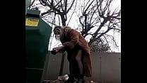 hd new dragon dildo dumpster dumb dawniev ass to mouth best