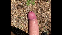 hd sari cum forest best